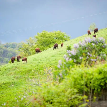 Вилла La Ferme Du Cayla *