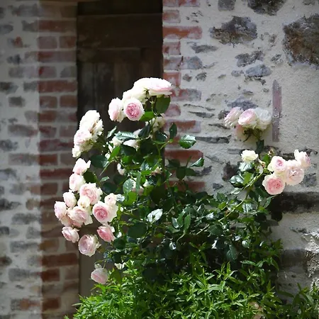 La Ferme Du Cayla * Linac