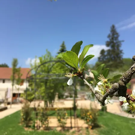 La Ferme Du Cayla * Linac